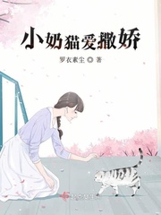 小奶猫爱撒娇