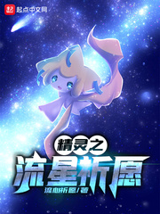 精灵之流星祈愿