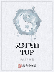 灵剑飞仙TOP